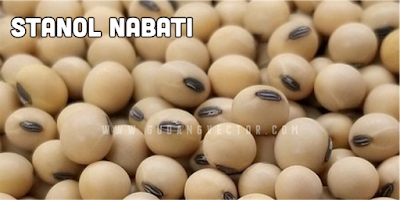 Stanol Nabati untuk Kolesterol