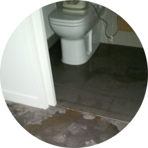 Sewage cleaning services