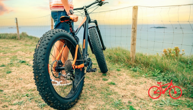 Full Suspension Fat Bike Review