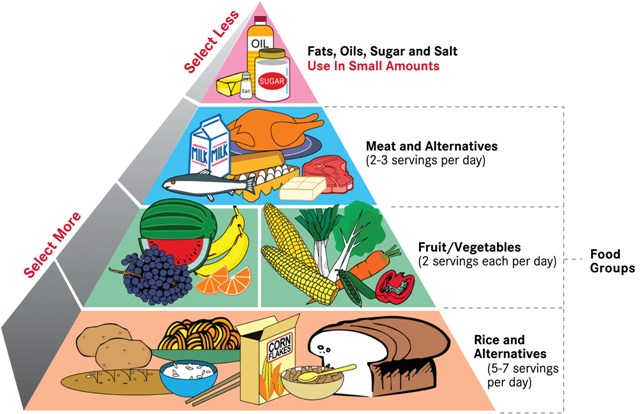 Method One: Healthy Food Pyramid