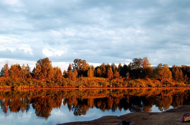 Finland lapp forest, forest wallpaper