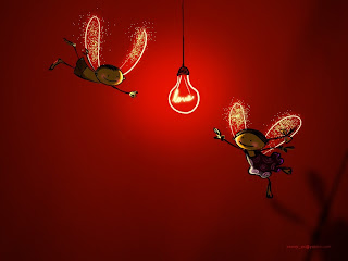 Firefly Love Love Wallpaper