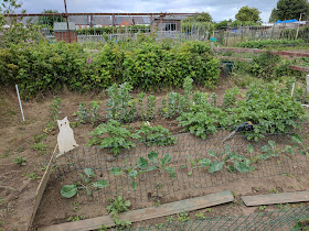 allotment-june-2017