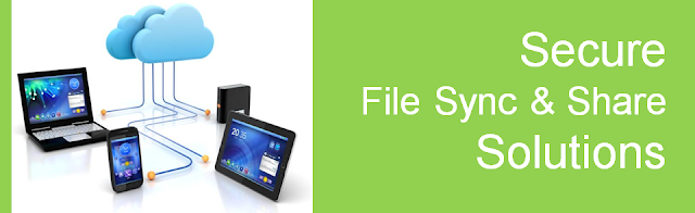 Secure File Sync and Share