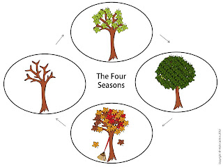 four seasons of a tree poster