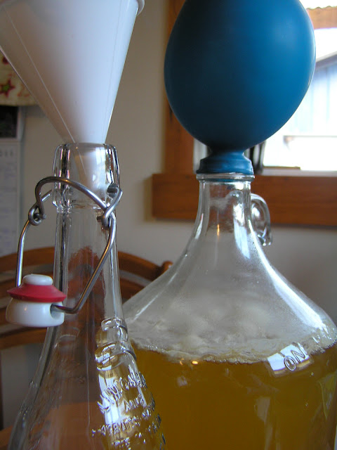 Honey wine ready for bottling