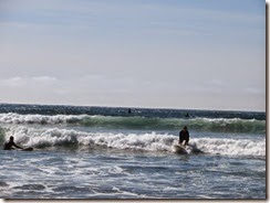 cannon beach 13