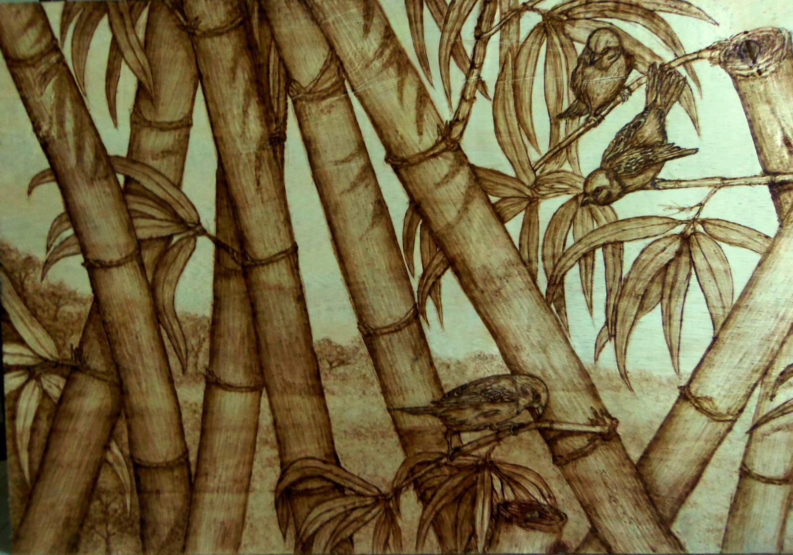 168 Sketsa Gambar Pohon Bambu Gudangsket