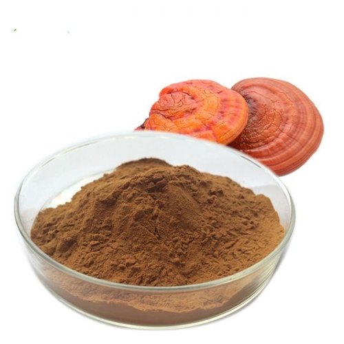 Reishi mushroom powder | Mushroom powder | Biobritte mushroom center 