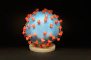Corona Virus: More than 3,000 Deaths, Over 45,000 Recoveries Worldwide