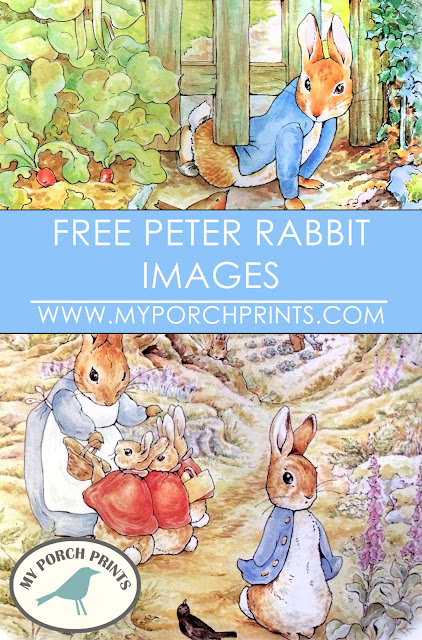 Free Peter Rabbit Beatrix Potter Images Download