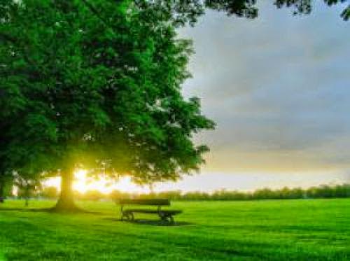 The Escalating Carbon Neutral Energy Debate