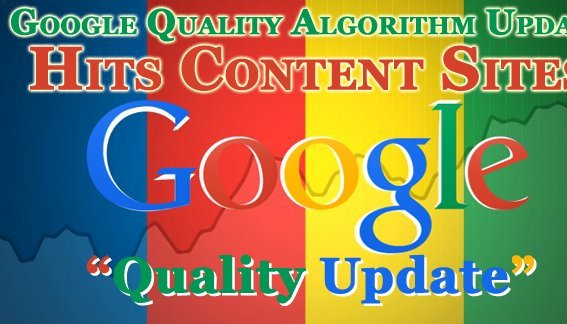 Google Quality Update: Google Quality Algorithm Update Hits How-To Sites