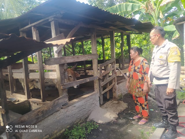 Bhabinkamtibmas Polsek Rambutan Sosialisasi Wabah PMK