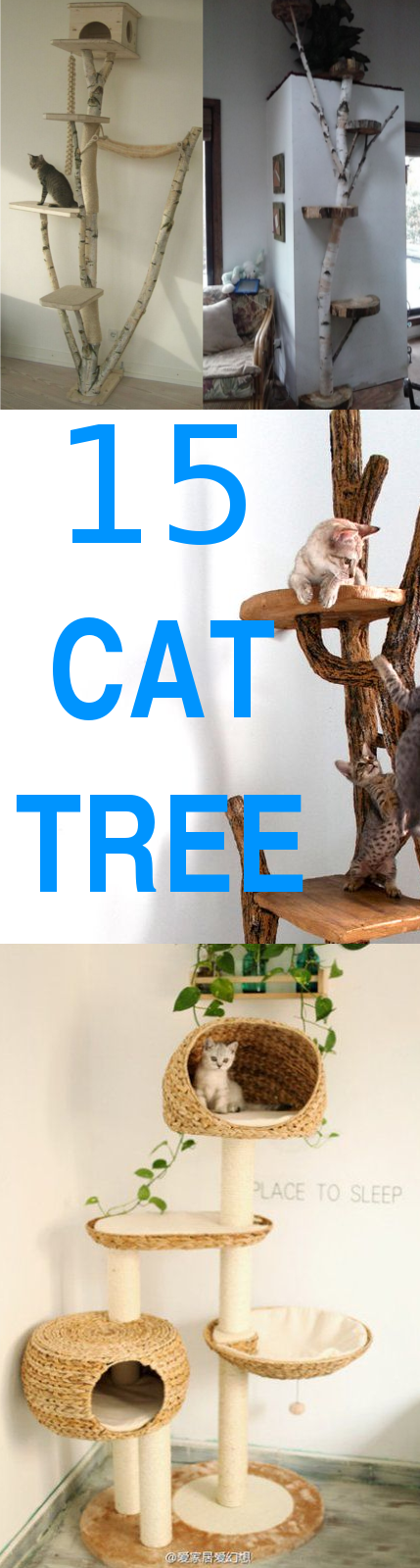 Cat Tree