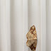 Moth on a door frame