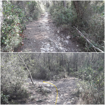 CALAFELL-MONTPAÓ-URBANITZACIÓ VALLDEMAR-TORRE D'EN VIOLA- EL PUJAL-LA TALAIA, corriol pel bosc en direcció a l'urbanització Mas Romeu-Calafell