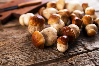 How do you look porcini mushrooms