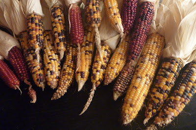 permaculture glass bead corn
