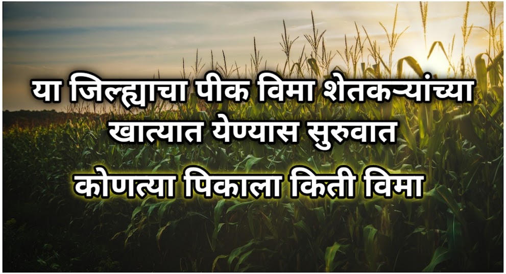 या जिल्ह्याचा पीक विमा शेतकऱ्यांच्या खात्यात येण्यास सुरुवात, पहा कोणत्या पिकाला किती विमा | crop insurance claim