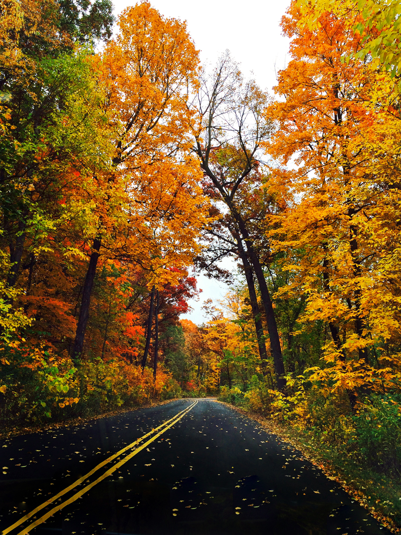 #LandscapePhotography #FallColors #FallLandScape #BreathTakingViews #SimIJoisPhotography 