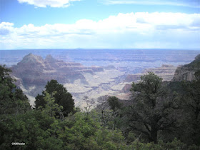 Grand Canyon from the North Rim