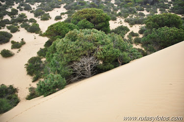 Laguna de El Jaral - Médano del Asperillo - Cuesta de Maneli