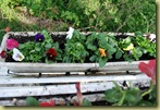 2011-05-15 Stemors