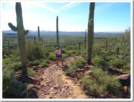 Hieroglyphic Trail, Superstition Mountains