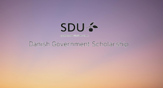Danish Government Masters Scholarships For Foreign Students 2022–2023