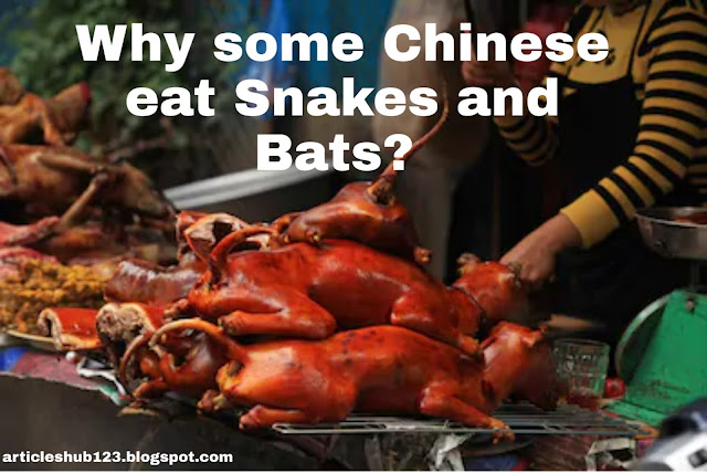 WHY SOME CHINESE EAT SNAKES & BATS ? Halal vs Chinese Wildlife Meat