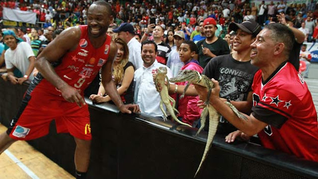 Cocodrilos barrió al campeón de América.