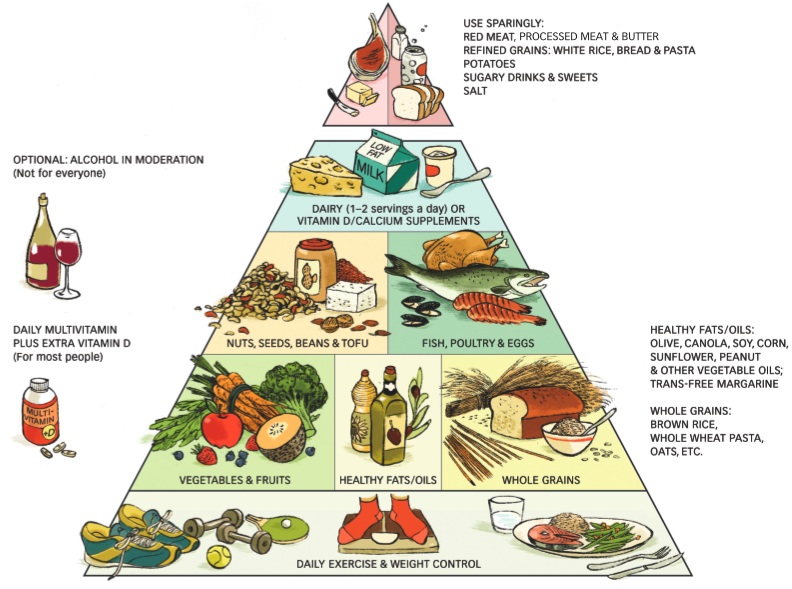 Lighthearted Locavore: Dietary Guidelines: Food Plates (Not Pie Charts ...