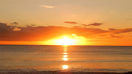 Sarasota Sunsets