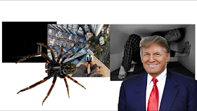 Examples_of_Fears