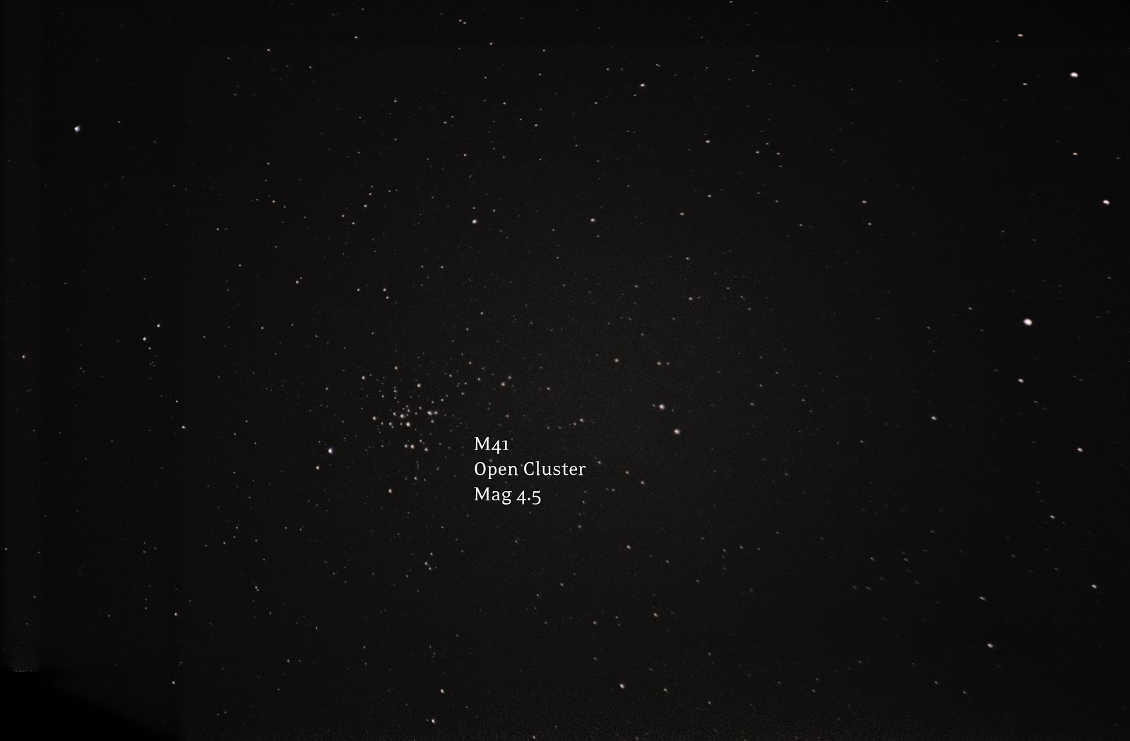 open cluster M41 with T5i