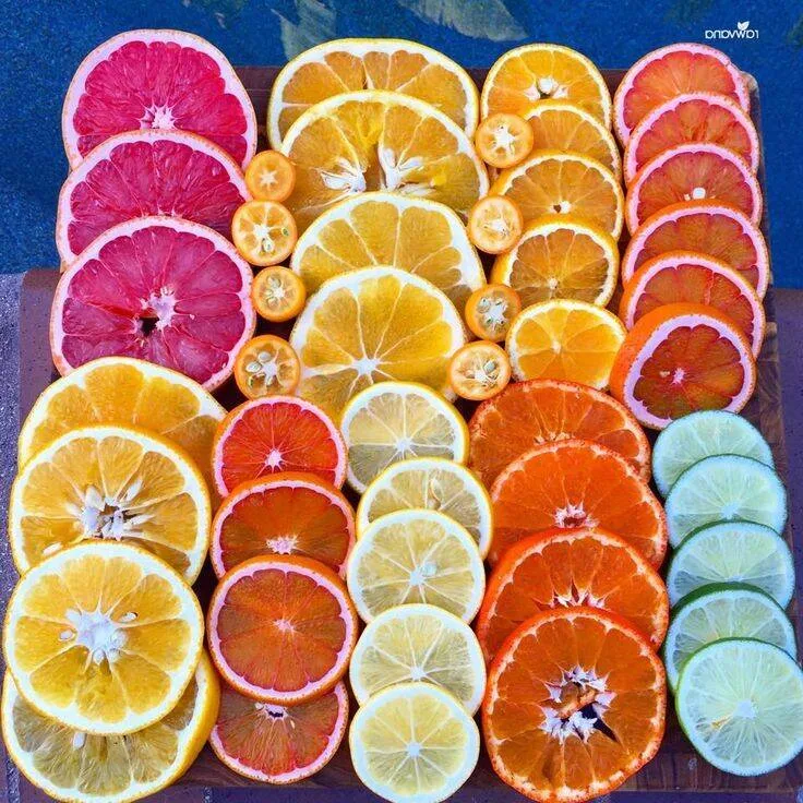 Citrus Fruit