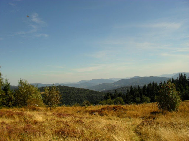 Widok na Beskid Wyspowy z Koskowej Góry