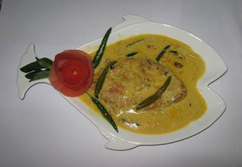 Alltype of fish recipe