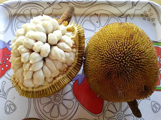 Marang Fruit pictures