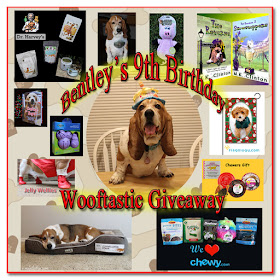 Bentley's Wooftastic Giveaway badge featuring him and the prizes