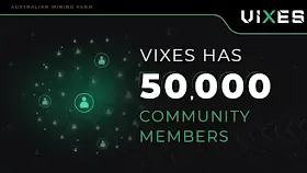 Рост проекта Vixes