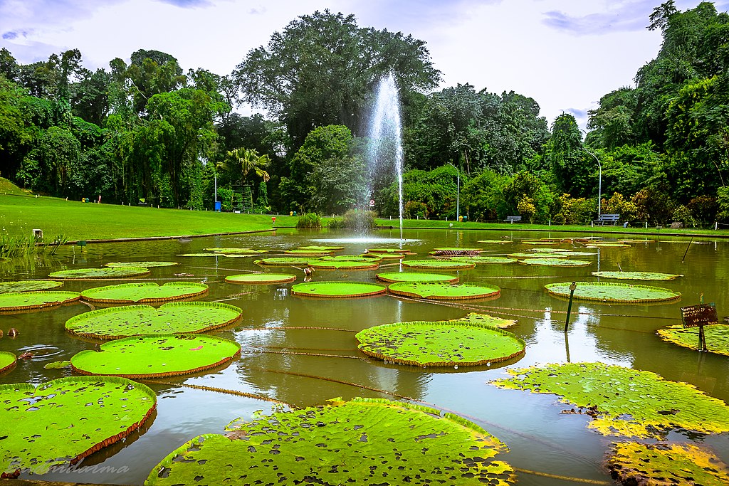 Sejarah Kebun Raya Bogor