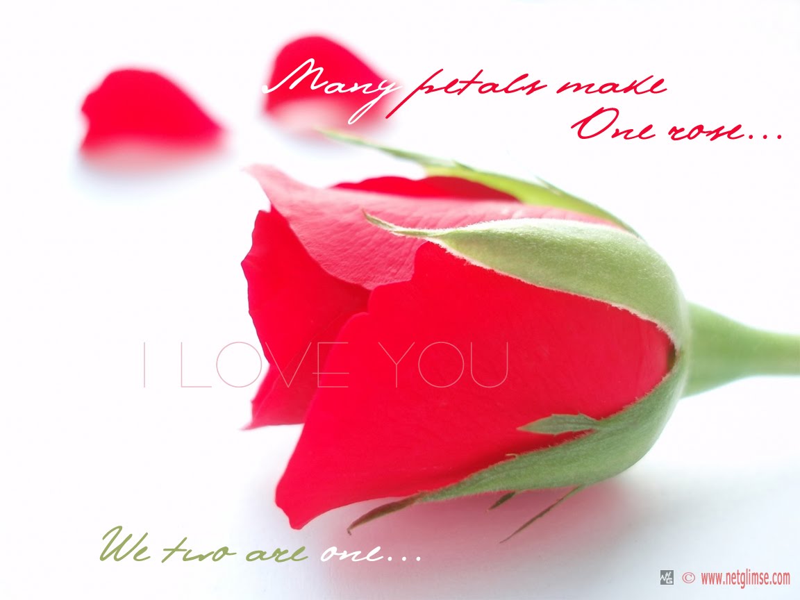 15 Love You So Much Quotes With Images Love Quotes Collection Within Hd Images