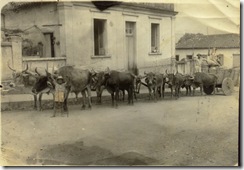 Caconde