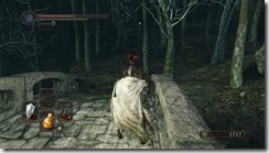 DarkSoulsII 2017-01-03 11-03-38-76