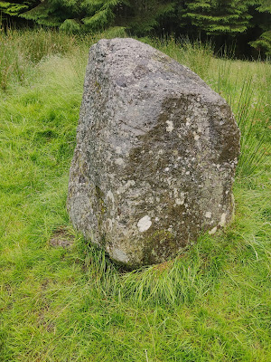 Gortnaglogh Standing Stone in County Laois.