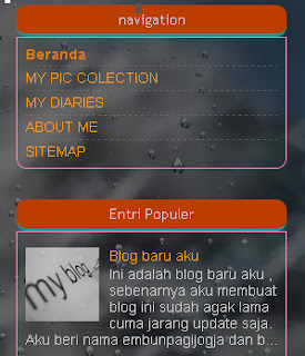 Membuat border dan background pada widget sidebar