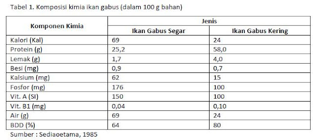 Manfaat Ikan Gabus