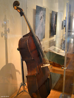 sydney cello